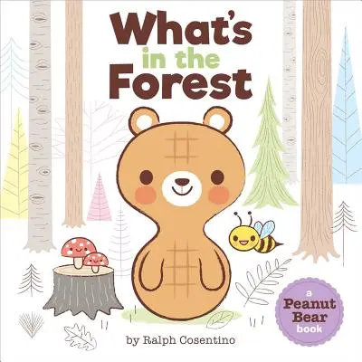 Peanut Bear: Co kryje się w lesie? - Peanut Bear: What's in the Forest?