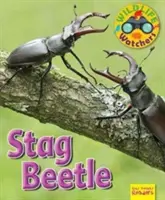 Obserwatorzy dzikiej przyrody: Jelonek rogacz - Wildlife Watchers: Stag Beetle