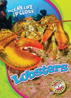 Homary - Lobsters