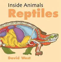 Gady - Reptiles