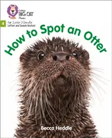 Jak rozpoznać wydrę - Faza 4 - How to Spot an Otter - Phase 4