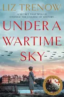 Pod wojennym niebem - Under a Wartime Sky