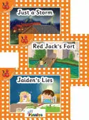 Jolly Phonics Orange Level Readers Set 4 - in Precursive Letters (brytyjska edycja angielska) - Jolly Phonics Orange Level Readers Set 4 - in Precursive Letters (British English edition)