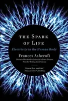 Iskra życia: Elektryczność w ludzkim ciele - The Spark of Life: Electricity in the Human Body
