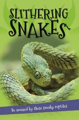 It's All About... Slithering Snakes: Wszystko, co chcesz wiedzieć o wężach w jednej niesamowitej książce - It's All About... Slithering Snakes: Everything You Want to Know about Snakes in One Amazing Book