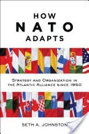 Jak adaptuje się NATO: Strategia i organizacja w Sojuszu Atlantyckim od 1950 roku - How NATO Adapts: Strategy and Organization in the Atlantic Alliance Since 1950