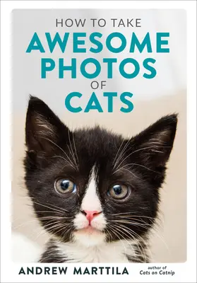 Jak robić niesamowite zdjęcia kotów - How to Take Awesome Photos of Cats