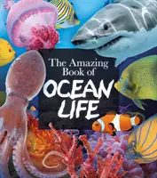 Niesamowita księga życia oceanów - Amazing Book of Ocean Life