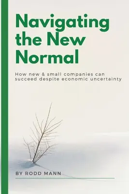 Navigating the New Normal: Jak nowe i małe firmy mogą odnieść sukces pomimo niepewności gospodarczej - Navigating the New Normal: How New & Small Companies Can Succeed Despite Economic Uncertainty