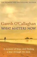 What Matters Now - Pamiętnik o nadziei i poszukiwaniu drogi przez ciemność - What Matters Now - A Memoir of Hope and Finding a Way Through the Dark