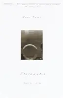 Plainwater: Eseje i poezja - Plainwater: Essays and Poetry