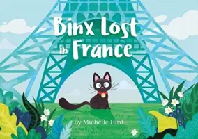 Binx zagubiony we Francji - Binx Lost in France