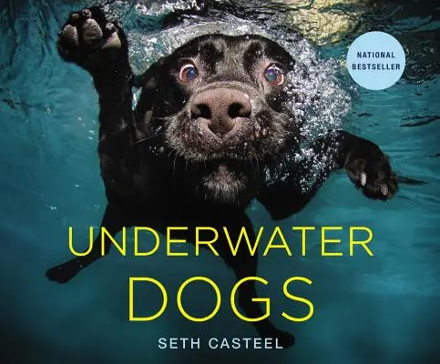 Podwodne psy - Underwater Dogs
