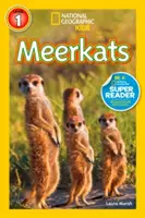 Surykatki - Meerkats