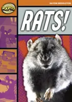 Szybkie czytanie: Rats! (Etap 4, Poziom 4B) - Rapid Reading: Rats! (Stage 4, Level 4B)