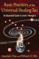 Podstawowe praktyki Uniwersalnego Tao Uzdrawiania: Ilustrowany przewodnik po poziomach od 1 do 6 - Basic Practices of the Universal Healing Tao: An Illustrated Guide to Levels 1 Through 6