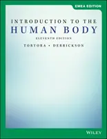 Wprowadzenie do ludzkiego ciała - Introduction to the Human Body