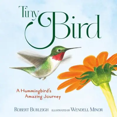 Tiny Bird: Niesamowita podróż kolibra - Tiny Bird: A Hummingbird's Amazing Journey