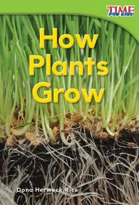 Jak rosną rośliny - How Plants Grow