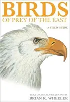 Ptaki drapieżne Wschodu: Przewodnik terenowy - Birds of Prey of the East: A Field Guide