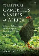 Lądowe ptaki łowne i bekasy Afryki: Ginewry, frankoliny, kuliki, przepiórki, kwiczoły i bekasy - Terrestrial Gamebirds & Snipes of Africa: Guineafowls, Francolins, Spurfowls, Quails, Sandgrouse & Snipes