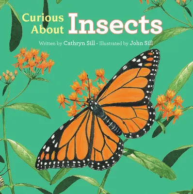 Ciekawi o owadach - Curious about Insects