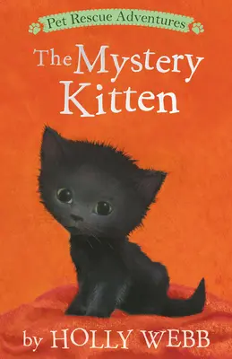 Tajemniczy kotek - The Mystery Kitten