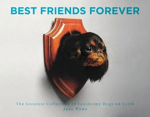 Najlepsi przyjaciele na zawsze: Największa kolekcja taksydermicznych psów na Ziemi - Best Friends Forever: The Greatest Collection of Taxidermy Dogs on Earth