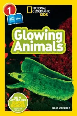 National Geographic Readers: Świecące zwierzęta (L1/Co-Reader) - National Geographic Readers: Glowing Animals (L1/Co-Reader)