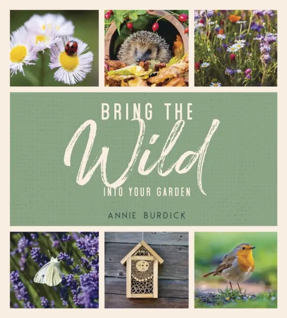 Wprowadź dzikość do swojego ogrodu - proste wskazówki dotyczące tworzenia ostoi dzikiej przyrody - Bring the Wild into Your Garden - Simple Tips for Creating a Wildlife Haven