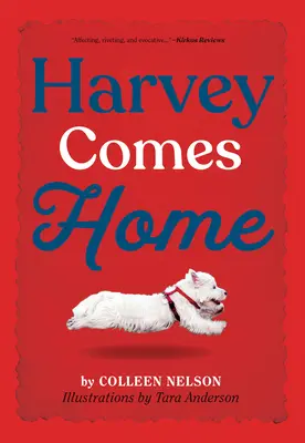 Harvey wraca do domu - Harvey Comes Home