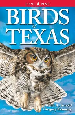 Ptaki Teksasu - Birds of Texas