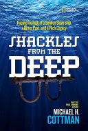 Shackles from the Deep: Śladami zatopionego statku niewolniczego, gorzkiej przeszłości i bogatego dziedzictwa - Shackles from the Deep: Tracing the Path of a Sunken Slave Ship, a Bitter Past, and a Rich Legacy