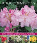 Rododendrony: Ilustrowany przewodnik po odmianach, uprawie i pielęgnacji, z instrukcjami krok po kroku i ponad 135 pięknymi zdjęciami. - Rhododendrons: An Illustrated Guide to Varieties, Cultivation and Care, with Step-By-Step Instructions and Over 135 Beautiful Photogr