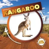 Kangur - Kangaroo