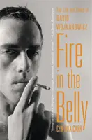 Ogień w brzuchu: Życie i czasy Davida Wojnarowicza - Fire in the Belly: The Life and Times of David Wojnarowicz