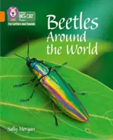 Chrząszcze dookoła świata - zespół 06/pomarańczowy - Beetles Around the World - Band 06/Orange