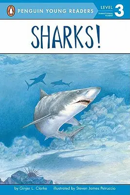 Rekiny! - Sharks!