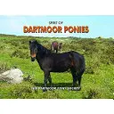 Duch kucyków Dartmoor - Spirit of Dartmoor Ponies