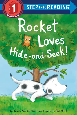 Rocket uwielbia zabawę w chowanego! - Rocket Loves Hide-And-Seek!