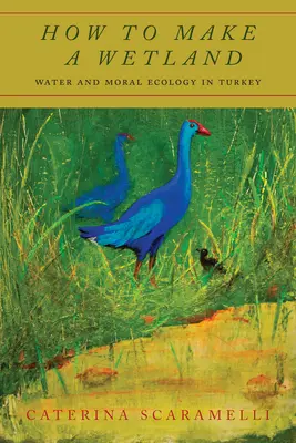 Jak stworzyć mokradła: Woda i ekologia moralna w Turcji - How to Make a Wetland: Water and Moral Ecology in Turkey