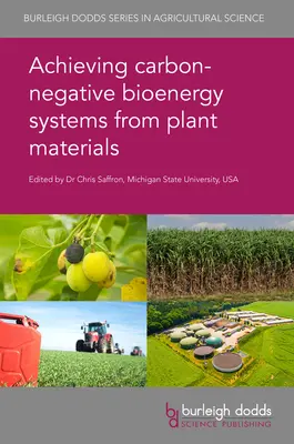 Osiągnięcie neutralnych pod względem emisji dwutlenku węgla systemów bioenergetycznych z materiałów roślinnych - Achieving Carbon-Negative Bioenergy Systems from Plant Materials