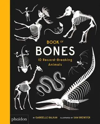 Book of Bones: 10 rekordowych zwierząt - Book of Bones: 10 Record-Breaking Animals