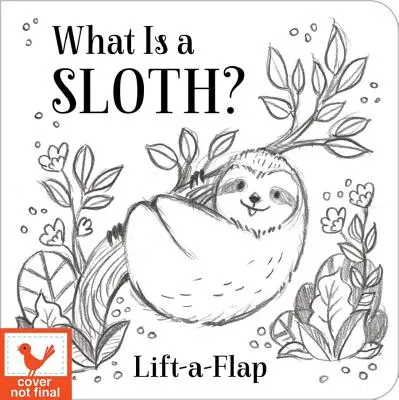 Co to jest leniwiec? - What Is a Sloth?