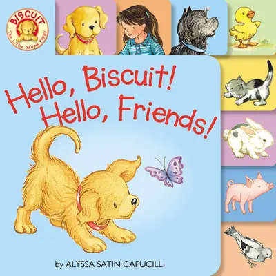 Cześć, Herbatniczku! Cześć, przyjaciele! Książka planszowa z zakładkami - Hello, Biscuit! Hello, Friends! Tabbed Board Book