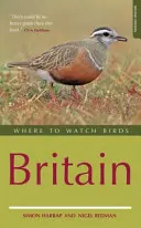 Gdzie oglądać ptaki w Wielkiej Brytanii - Where to Watch Birds in Britain