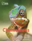 Kameleony - Chameleons