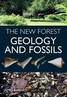 Nowy Las - geologia i skamieniałości - New Forest - Geology and Fossils