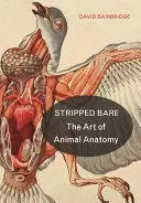 Rozebrany do naga: Sztuka anatomii zwierząt - Stripped Bare: The Art of Animal Anatomy