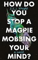 Jak powstrzymać srokę mobbingującą twój umysł? - How Do you Stop a Magpie Mobbing Your Mind?